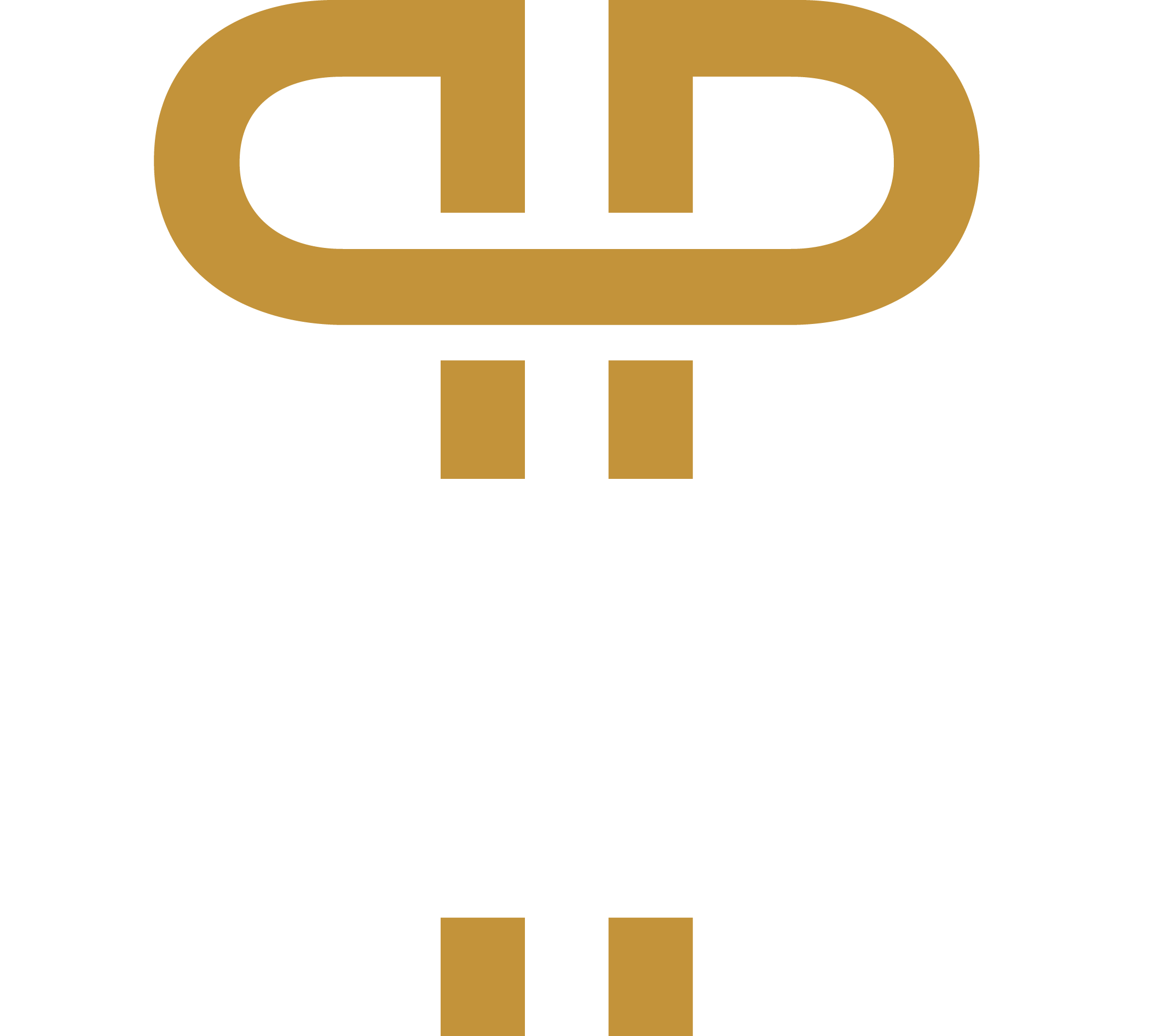 PURSUIT PHYSIO FINAL WHITE AND GOLD.png