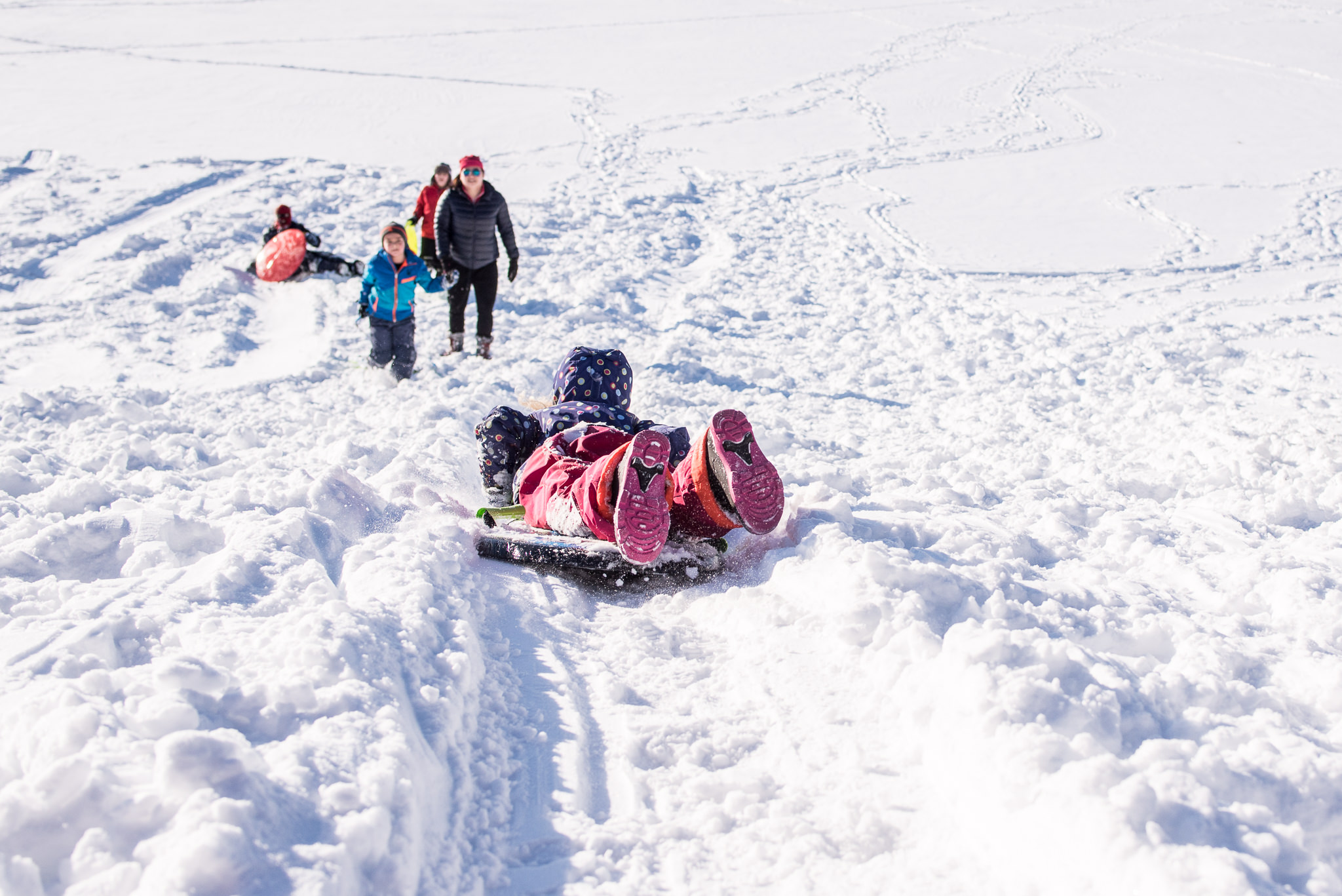 Sleddingfb-15.jpg