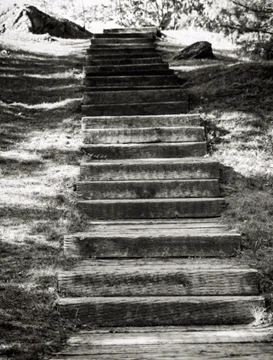 Steps Canada.jpg