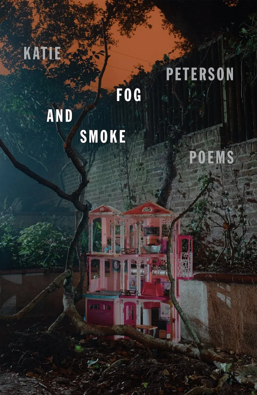 Fog and Smoke (January 2024)