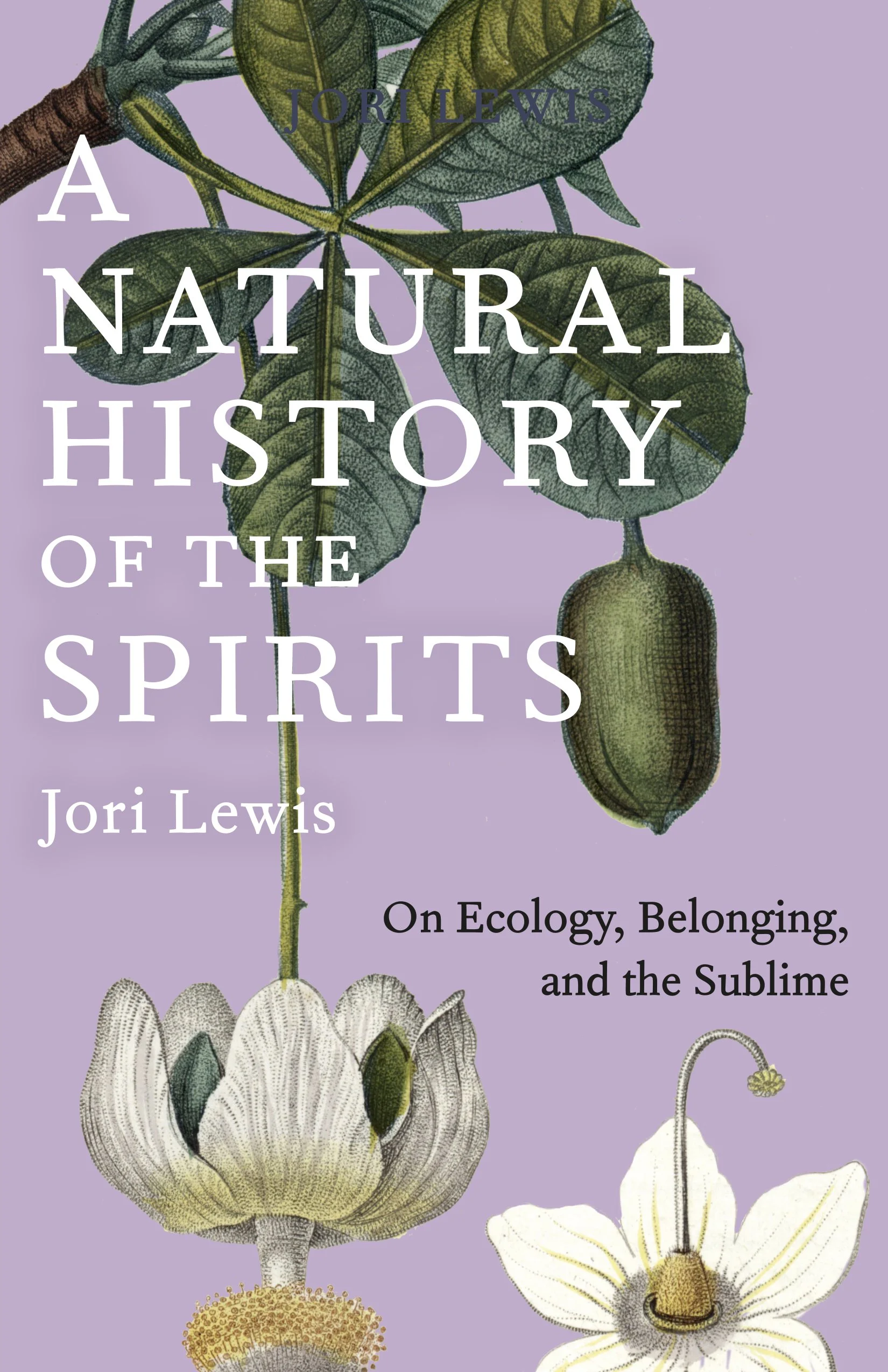 A Natural History of the Spirits: On Ecology, Belonging, and the Sublime 
