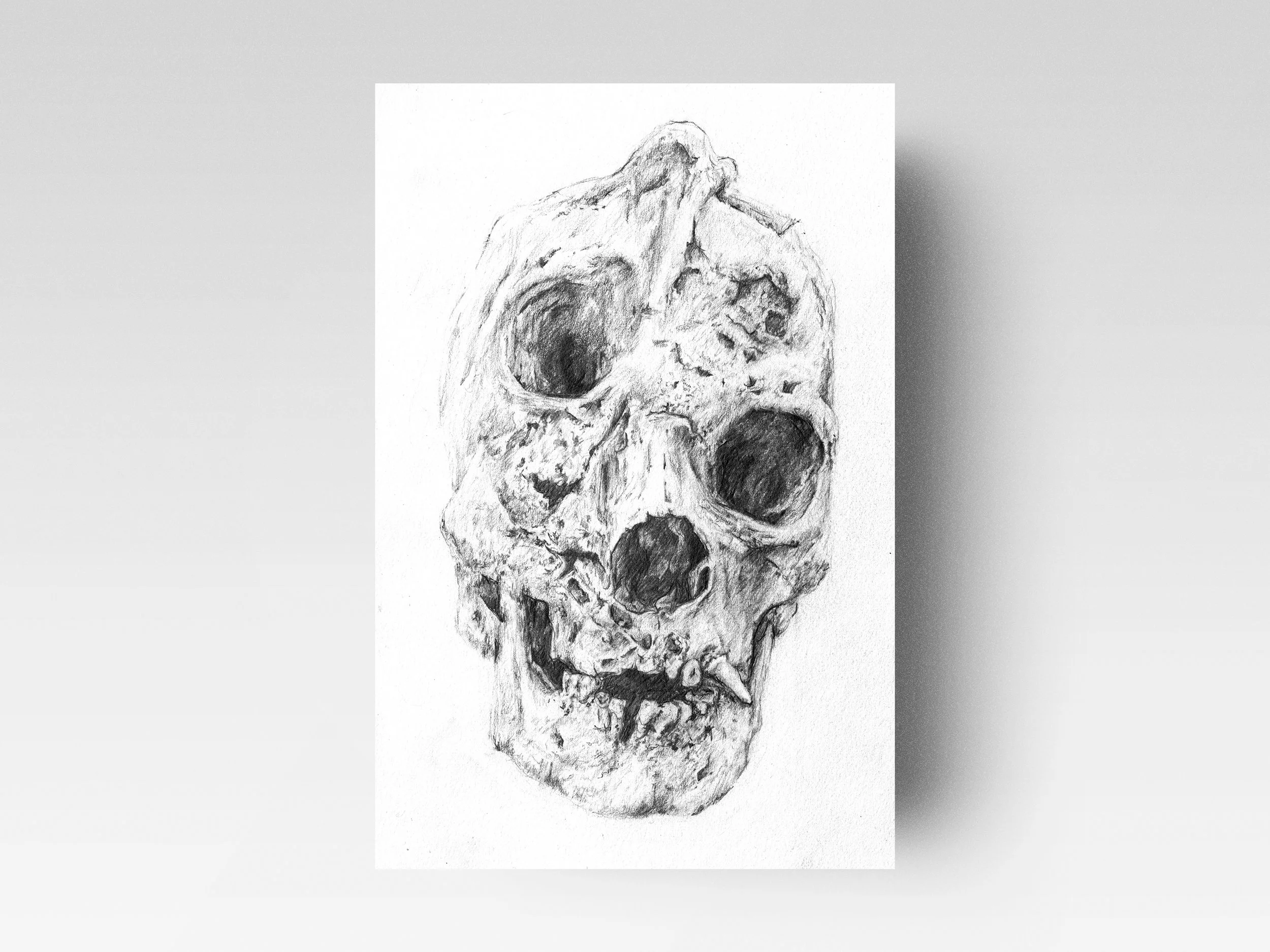 skull.jpg