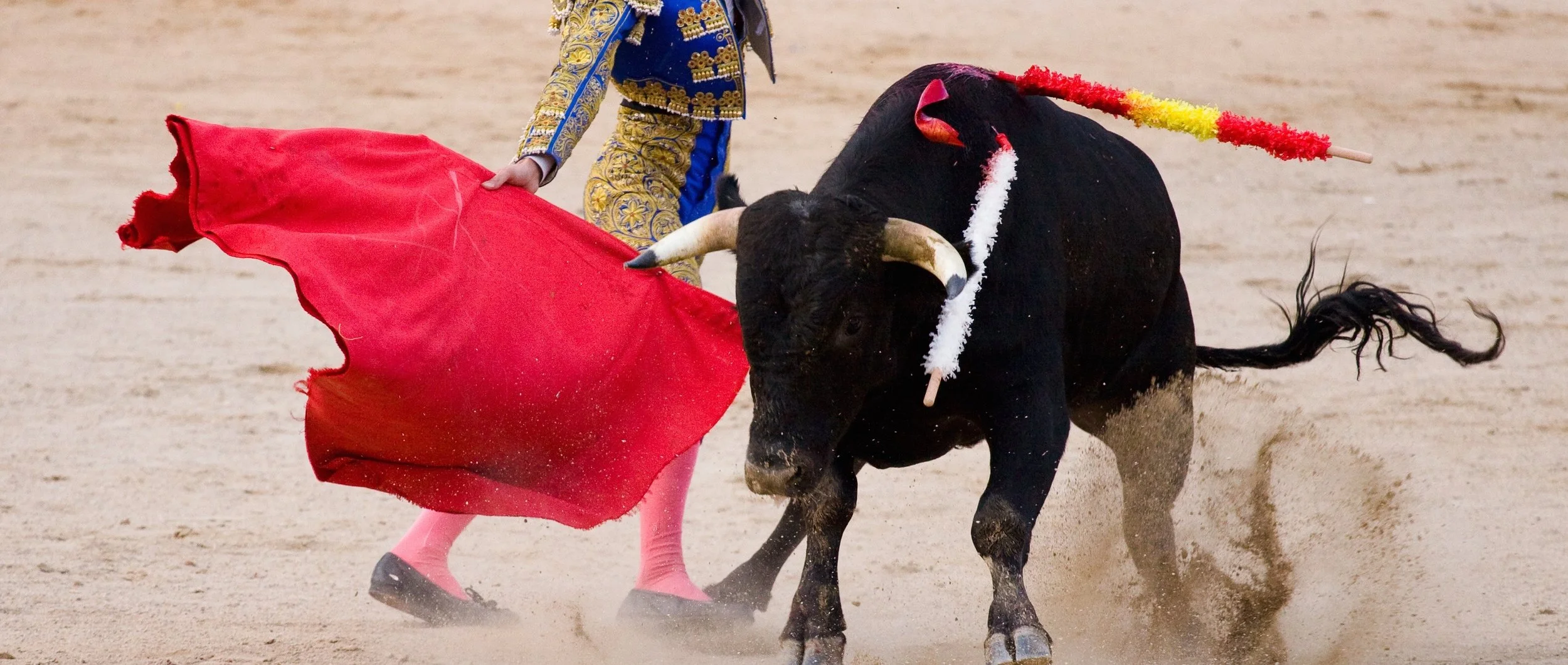 The Red Cape — the Cascade Review