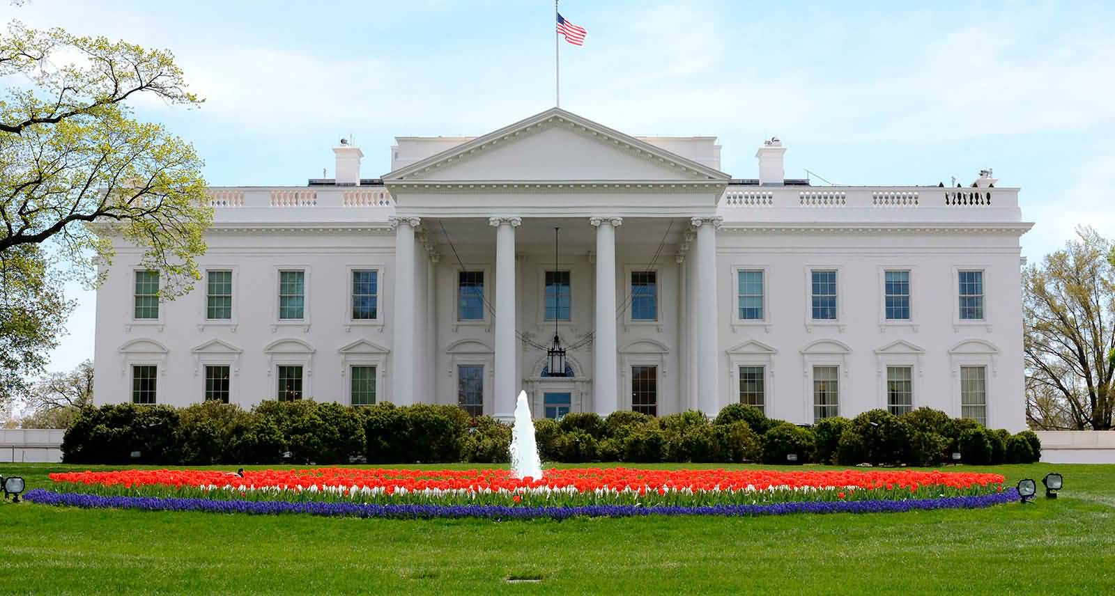Poppy-Flowers-And-Fountain-In-Front-Of-White-House.jpg