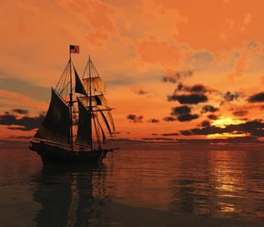 America's New Export: Racism