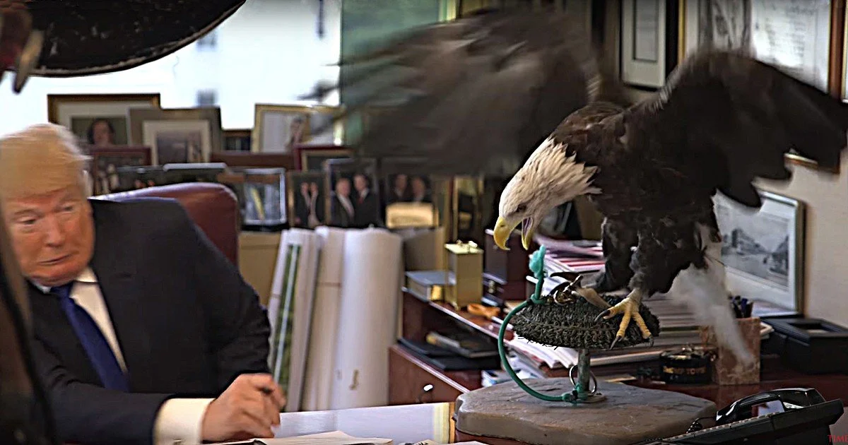 How to Attack Trump