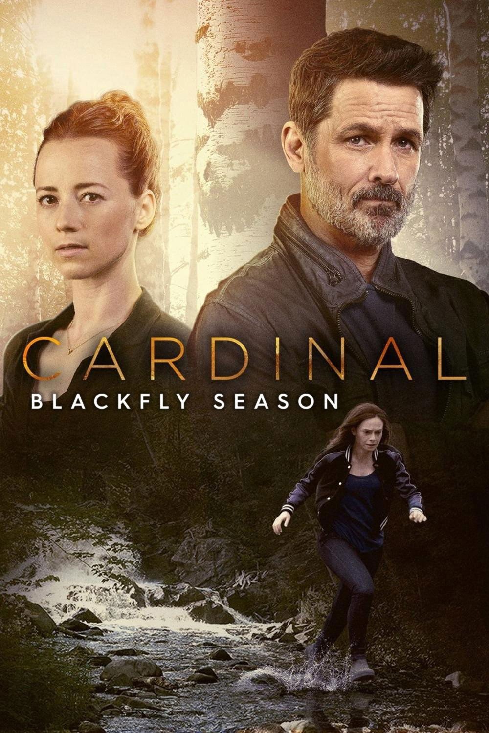 CARDINAL 3.jpeg
