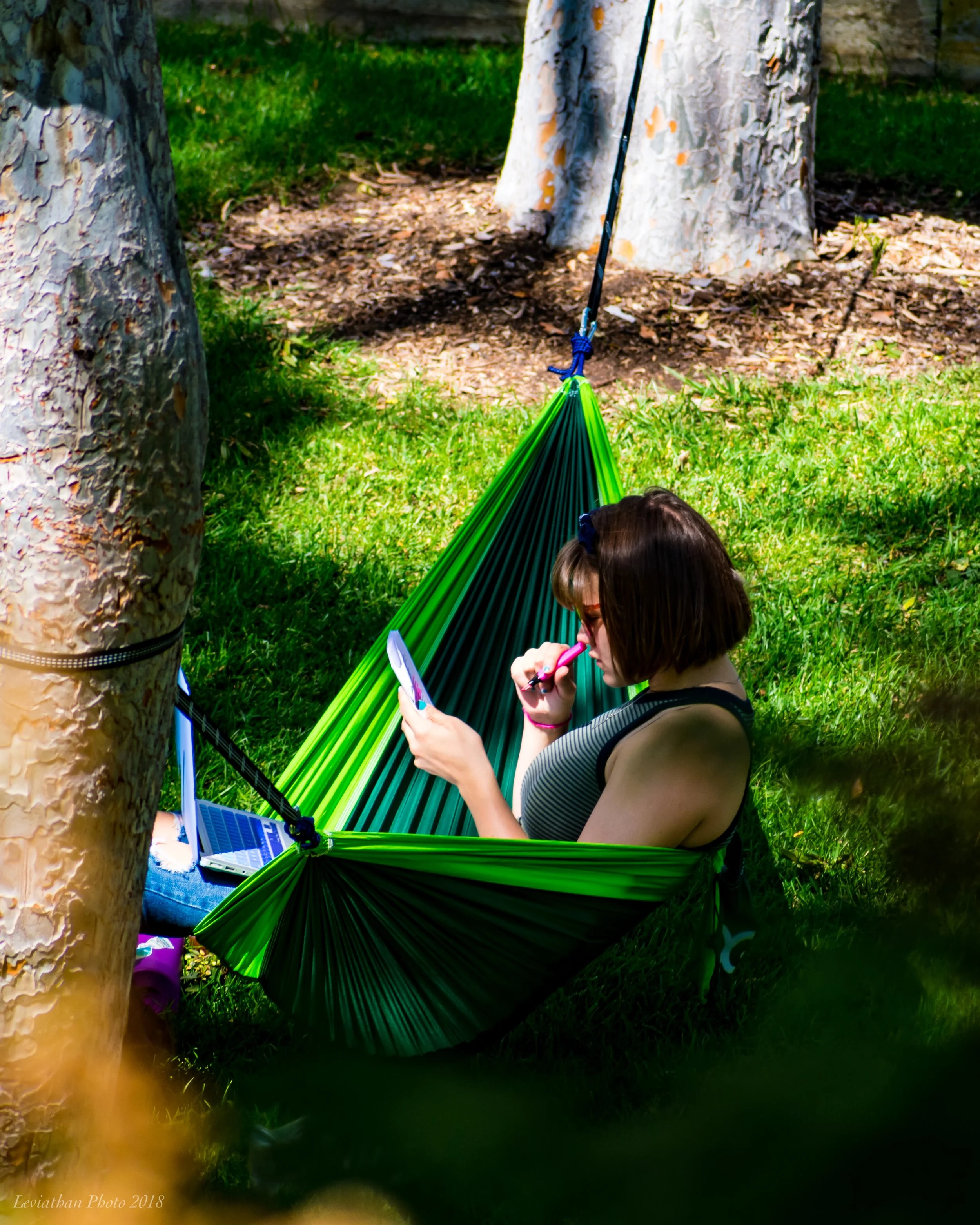 000_6763.JPG