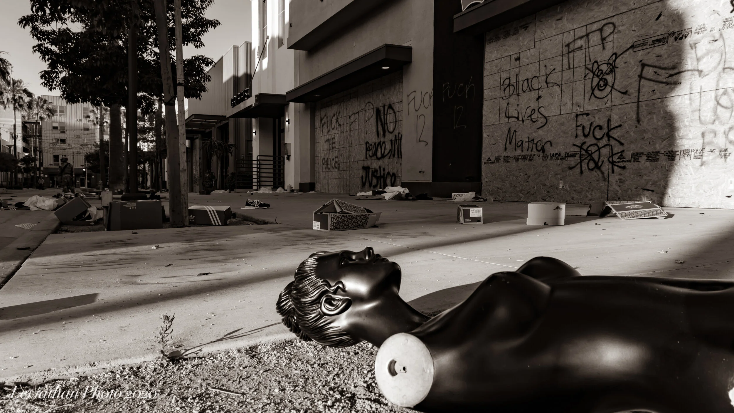 Venus De Milo of the riot