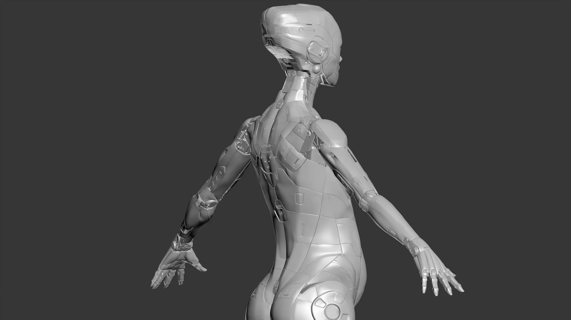 3/4 Back View