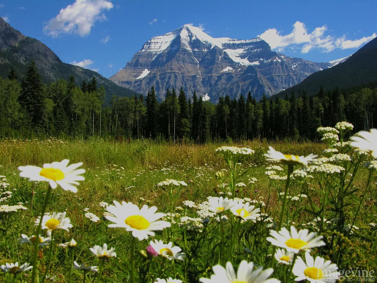 Majestic-Mountains.jpg.png