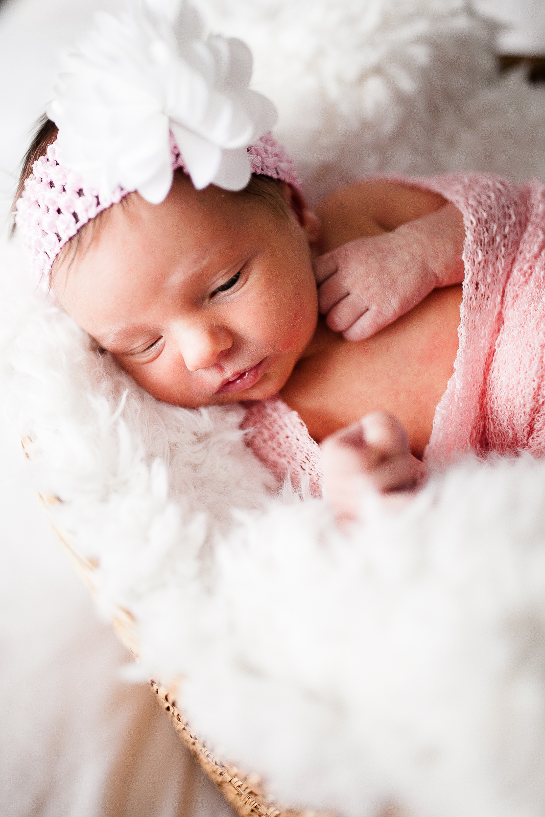 Roslyn NB web -1.jpg