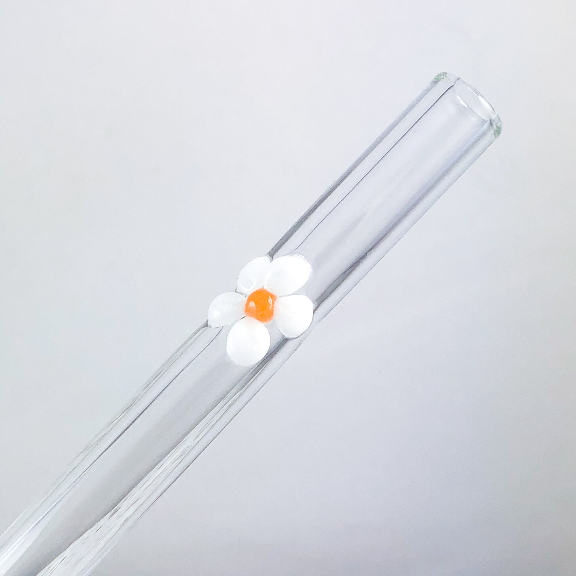 Daisy on Clear-1(w).jpg