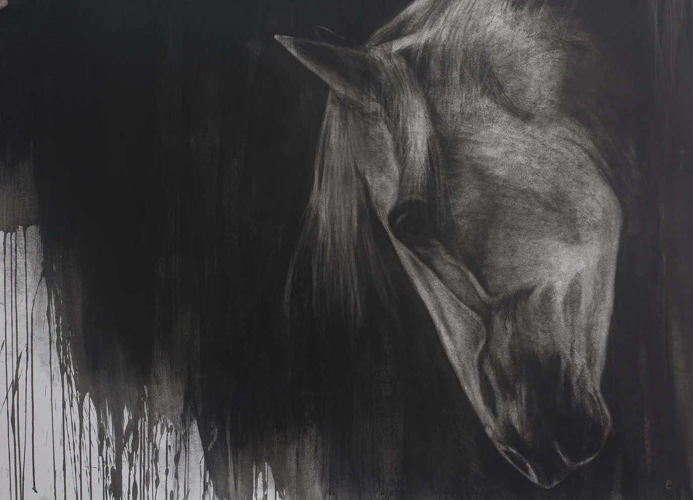 Blood Horse