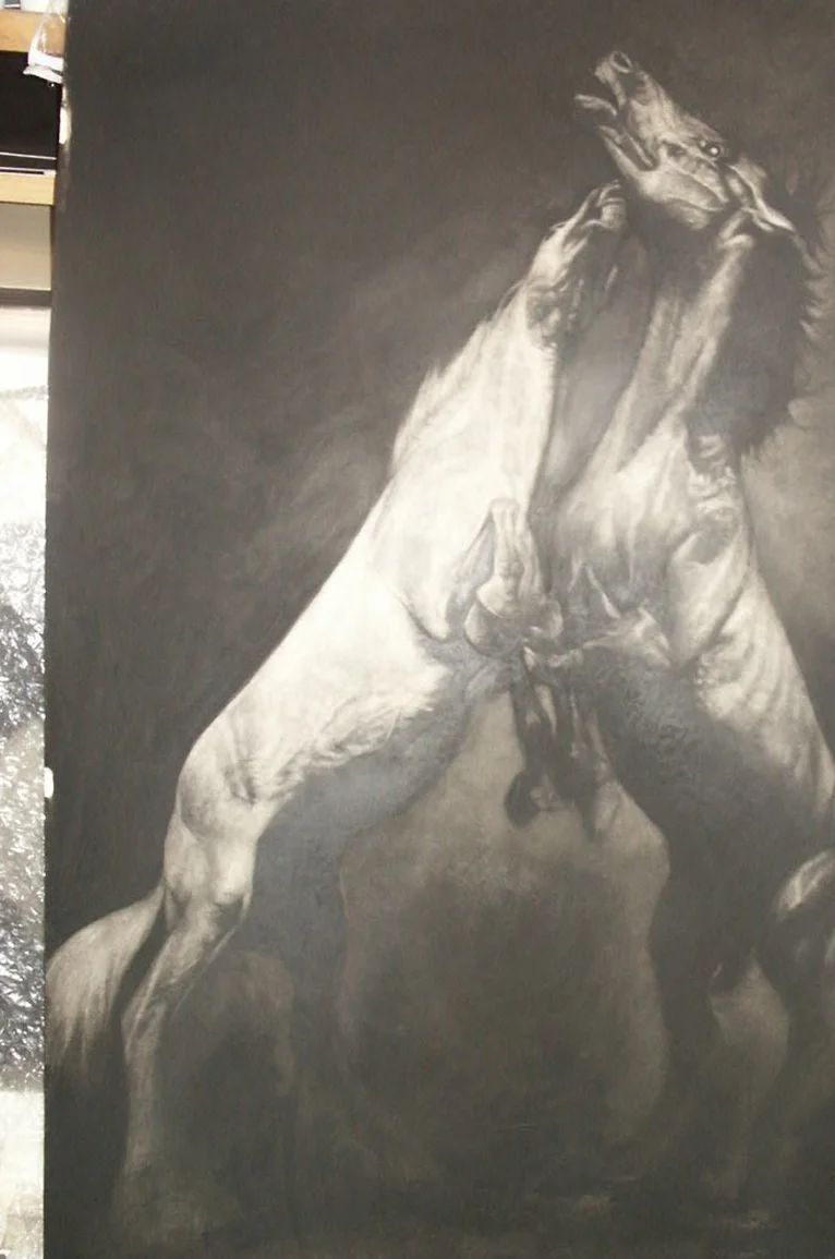 Fighting Stallions charcoal on board 44 x 70ins