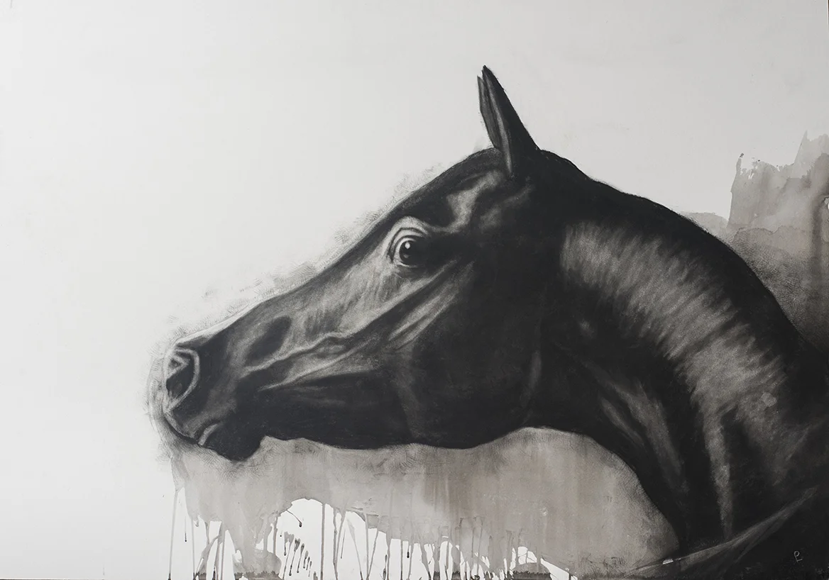 ‘‘ Arab Head ‘‘ Charcoal ,Ink on board , 32 x 44ins