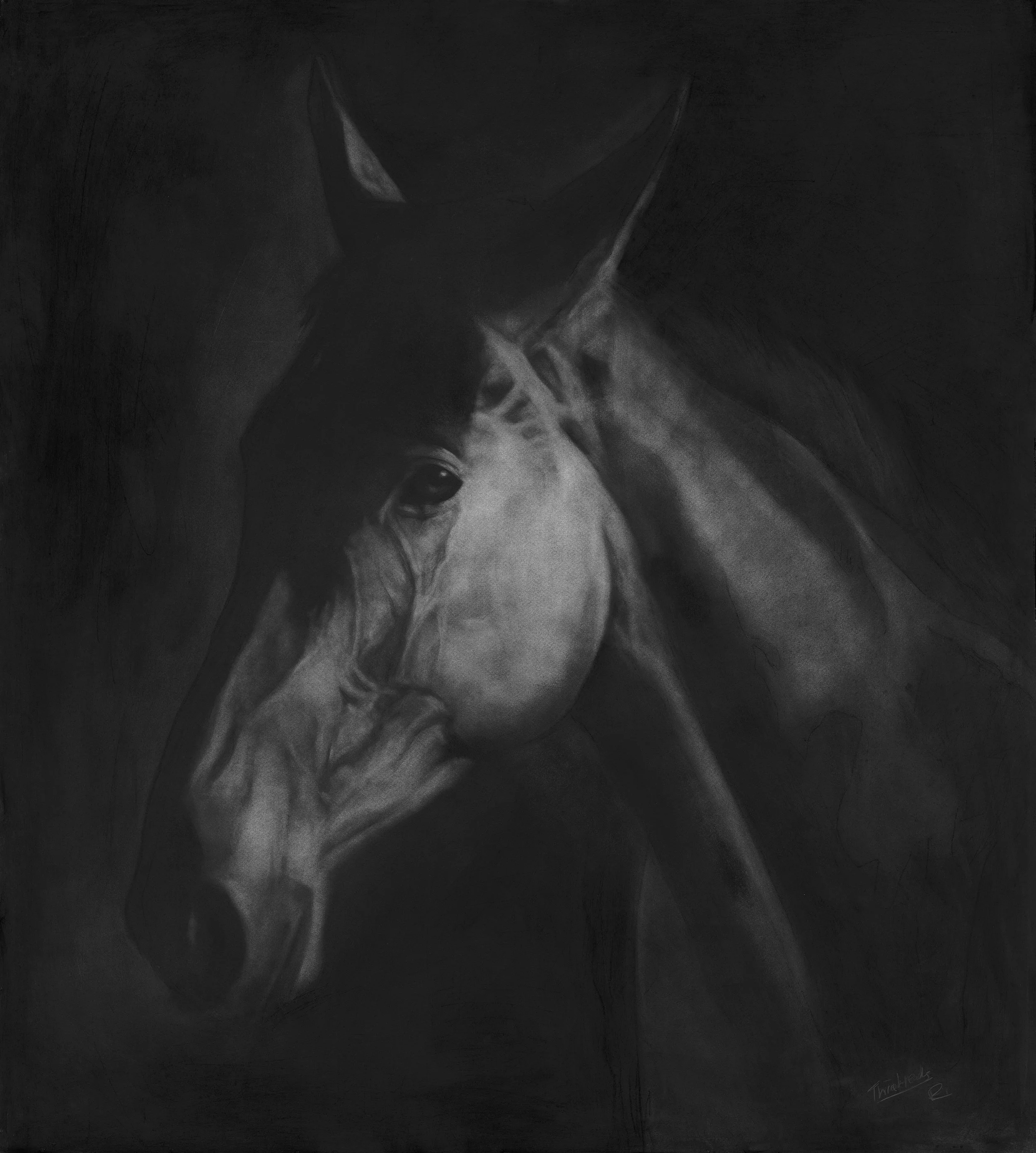 ‘‘ three Heads’’ charcoal on board 32x 44ins