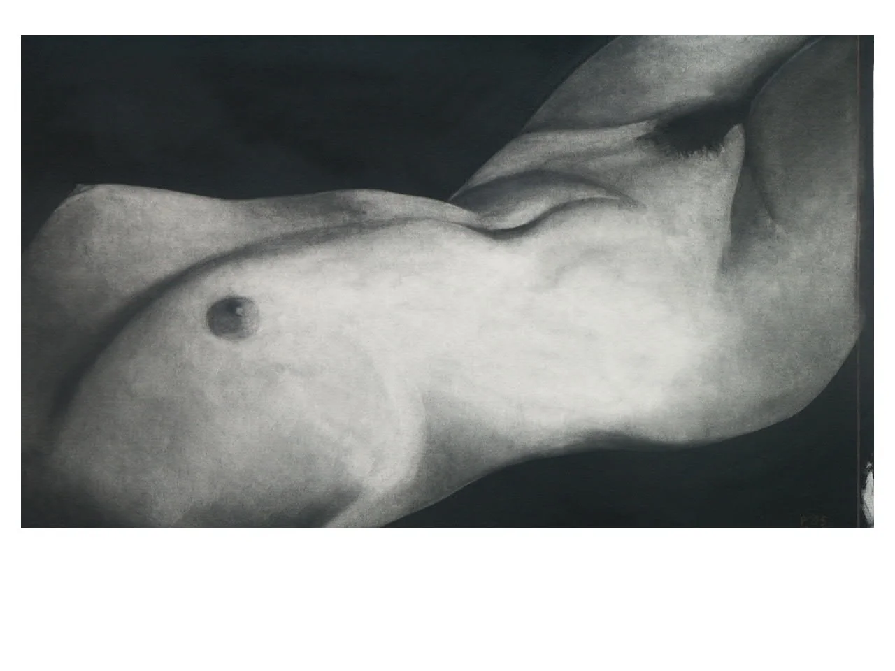 Nude charcoal on board