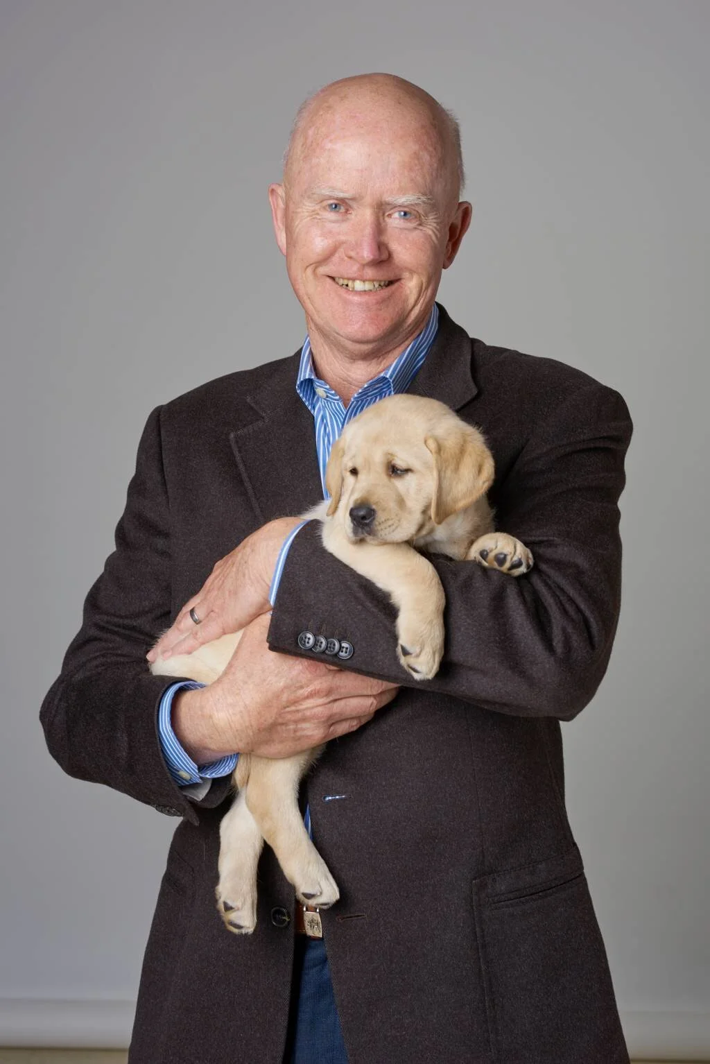 companion dogs victoria