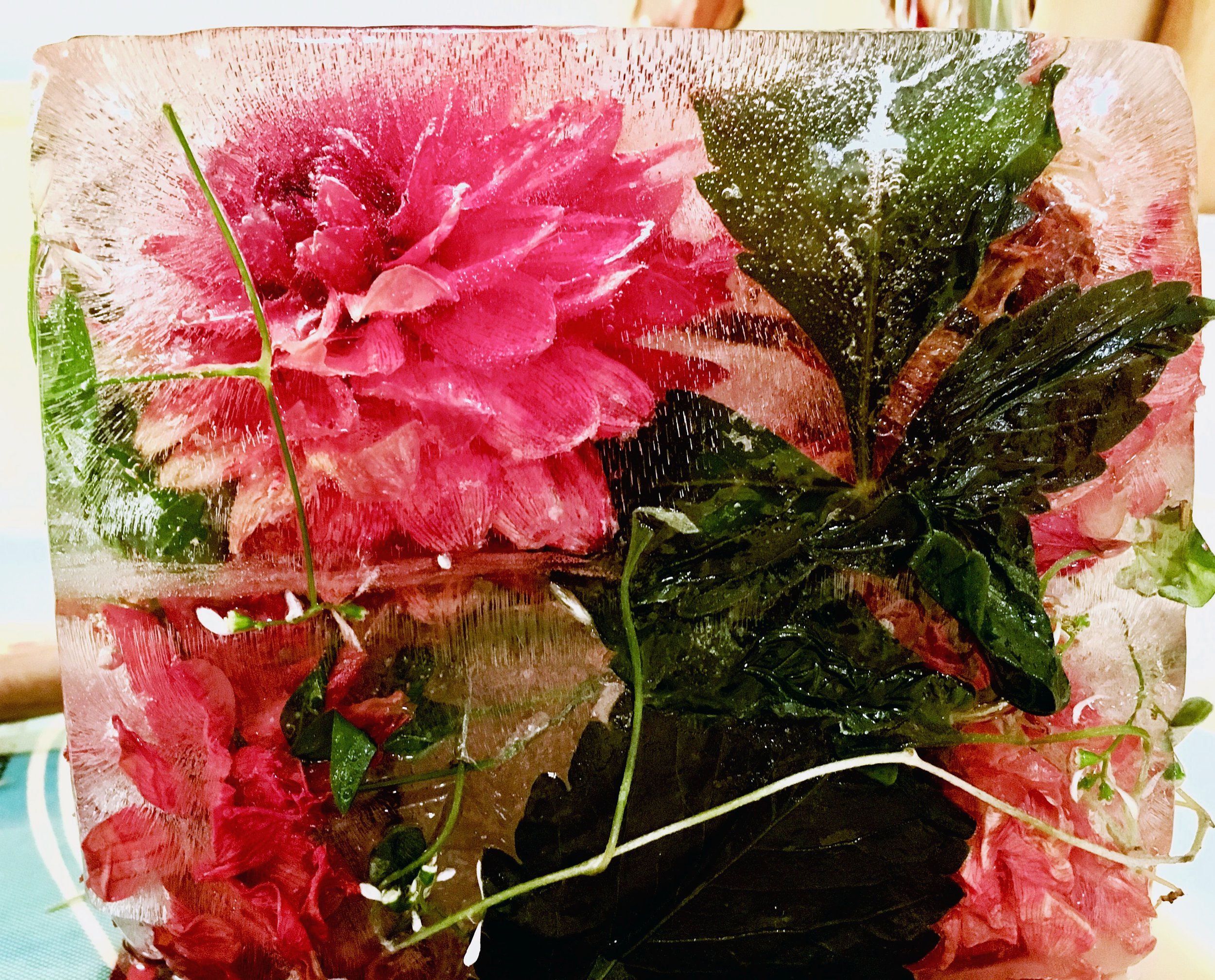 flowers.jpg