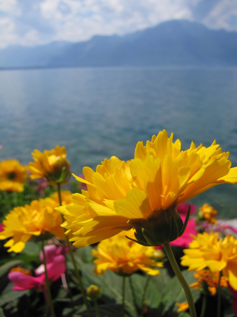 IMG_0439.png