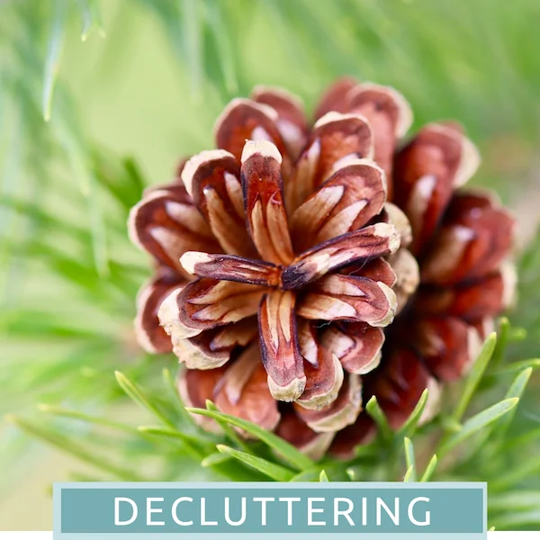 The First Step To Decluttering Your Home