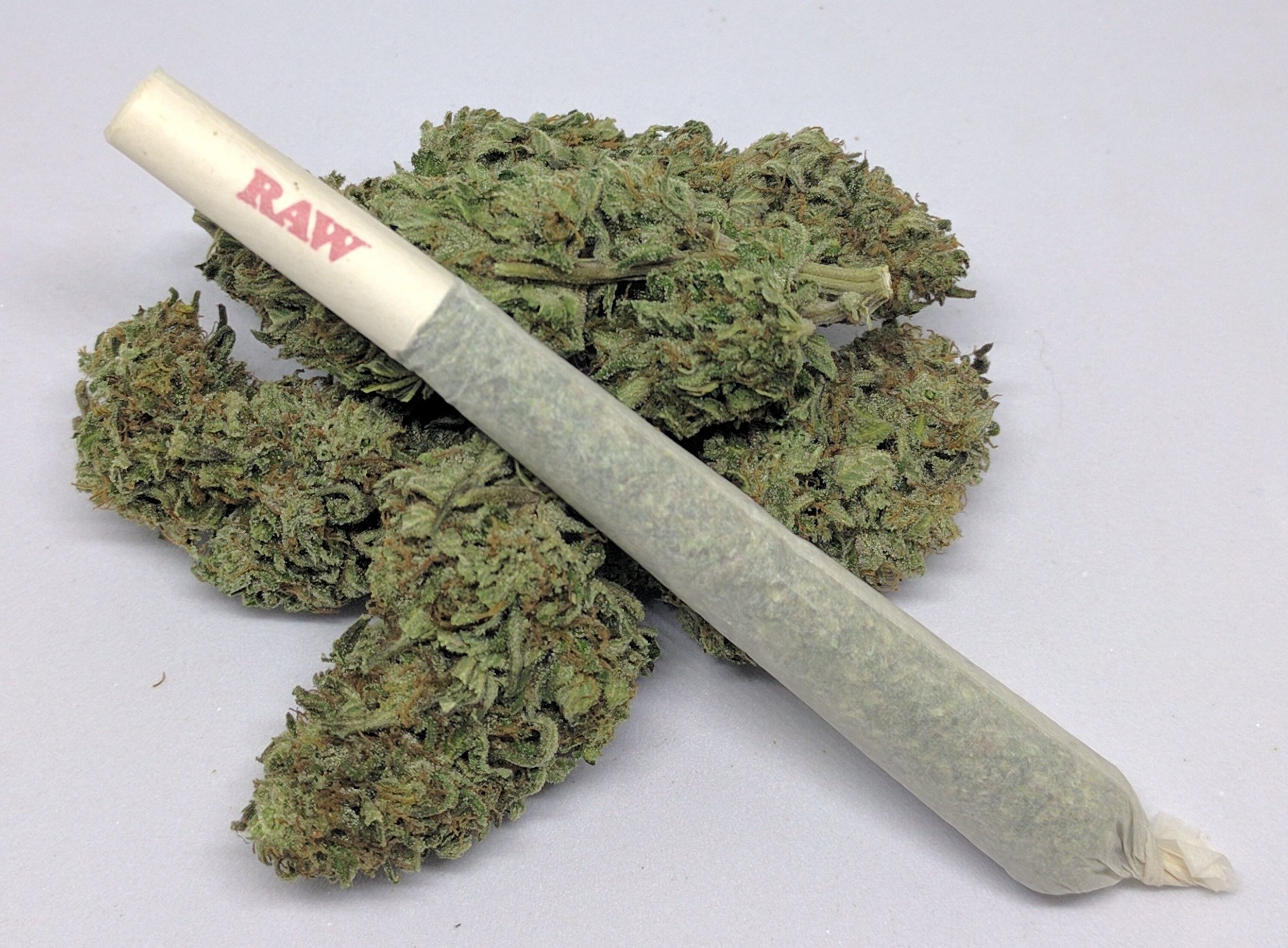 Critical-Joint.jpg