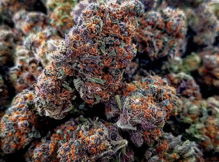 Grandaddy_Purple_-_andrewlery.jpg