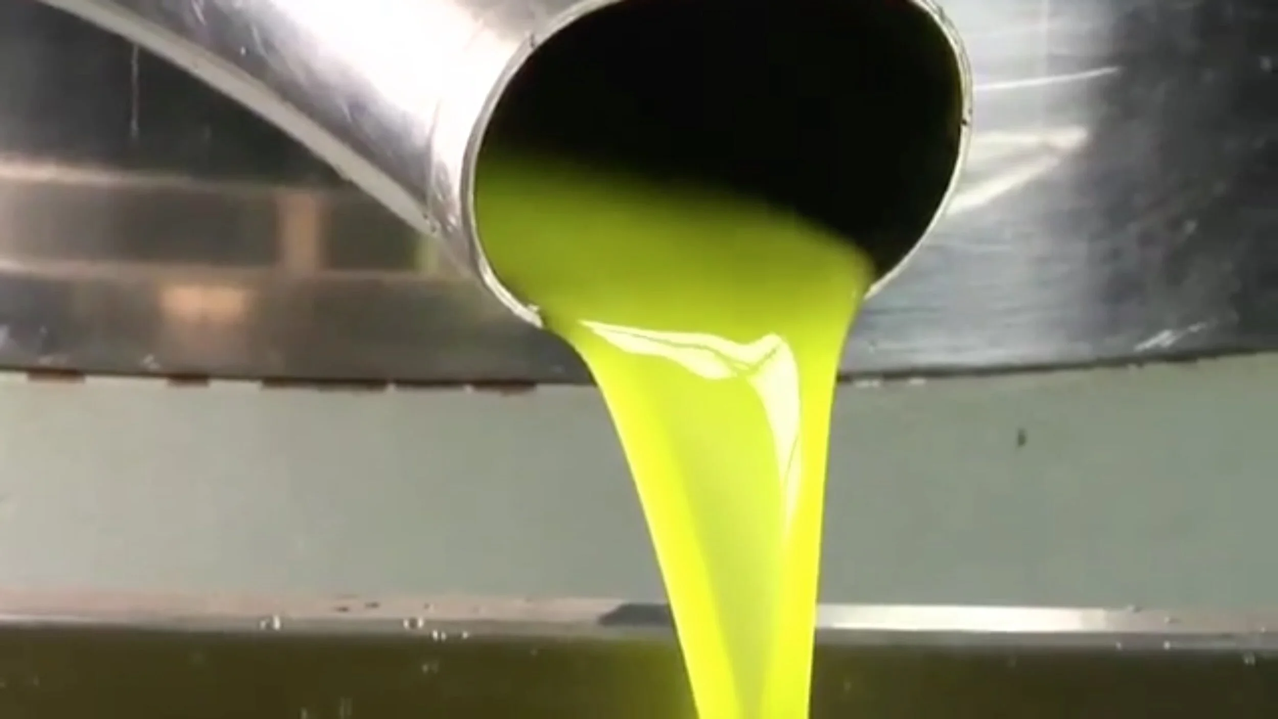 Olio frantoio #2.jpg