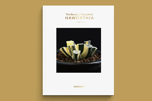 The Beauty of Succulents - Haworthia vol.1