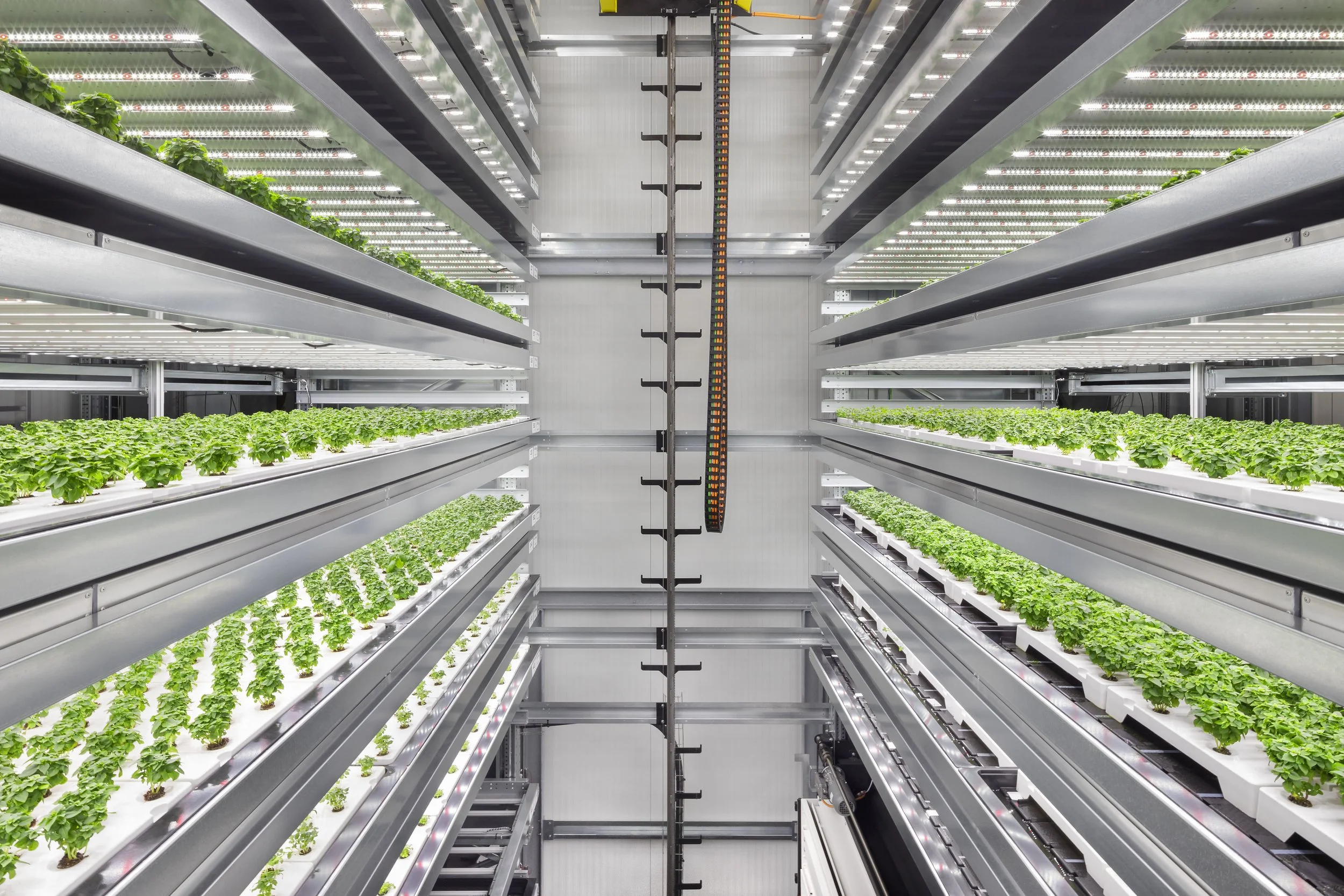 2_Infarm High-Capacity Farming Unit_Credit_Infarm_diephotodesigner.de.jpg