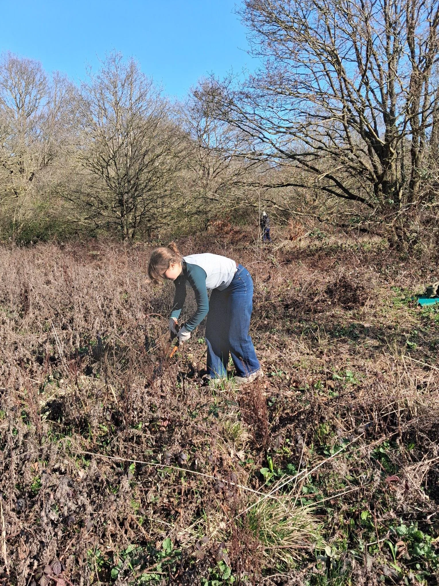 Supporting local green spaces in South Woodford