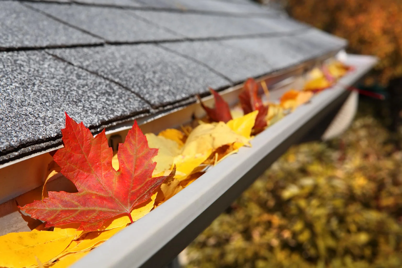 gutter_cleaning.jpg
