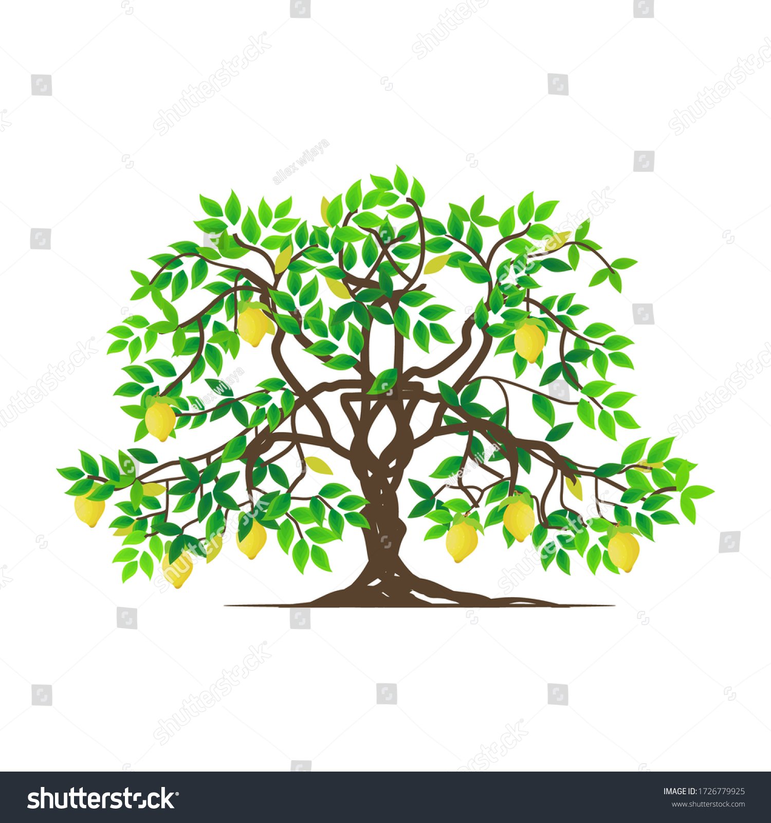 stock-vector-isolated-tree-and-lemon-plants-on-a-white-background-vector-illustration-1726779925.jpg