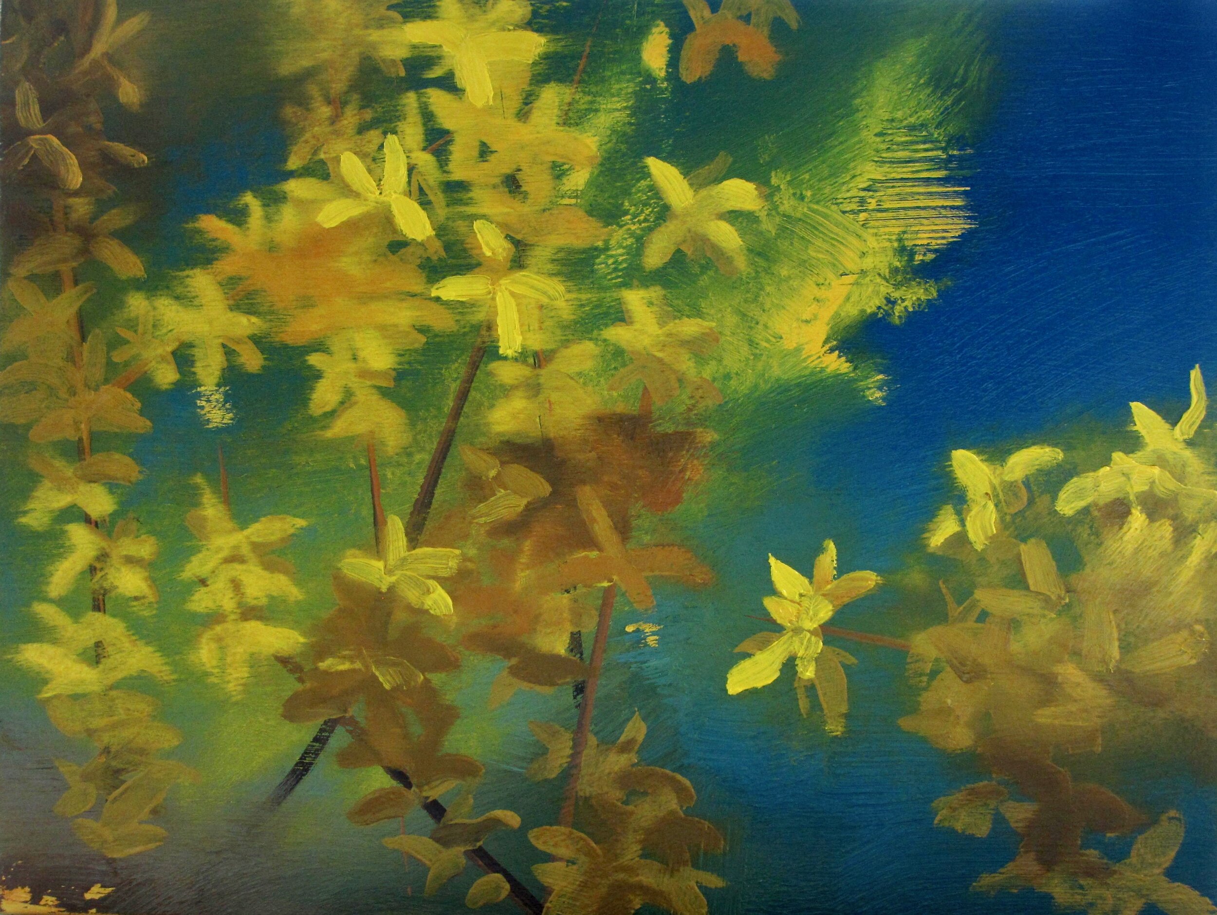 Forsythia (#2017)