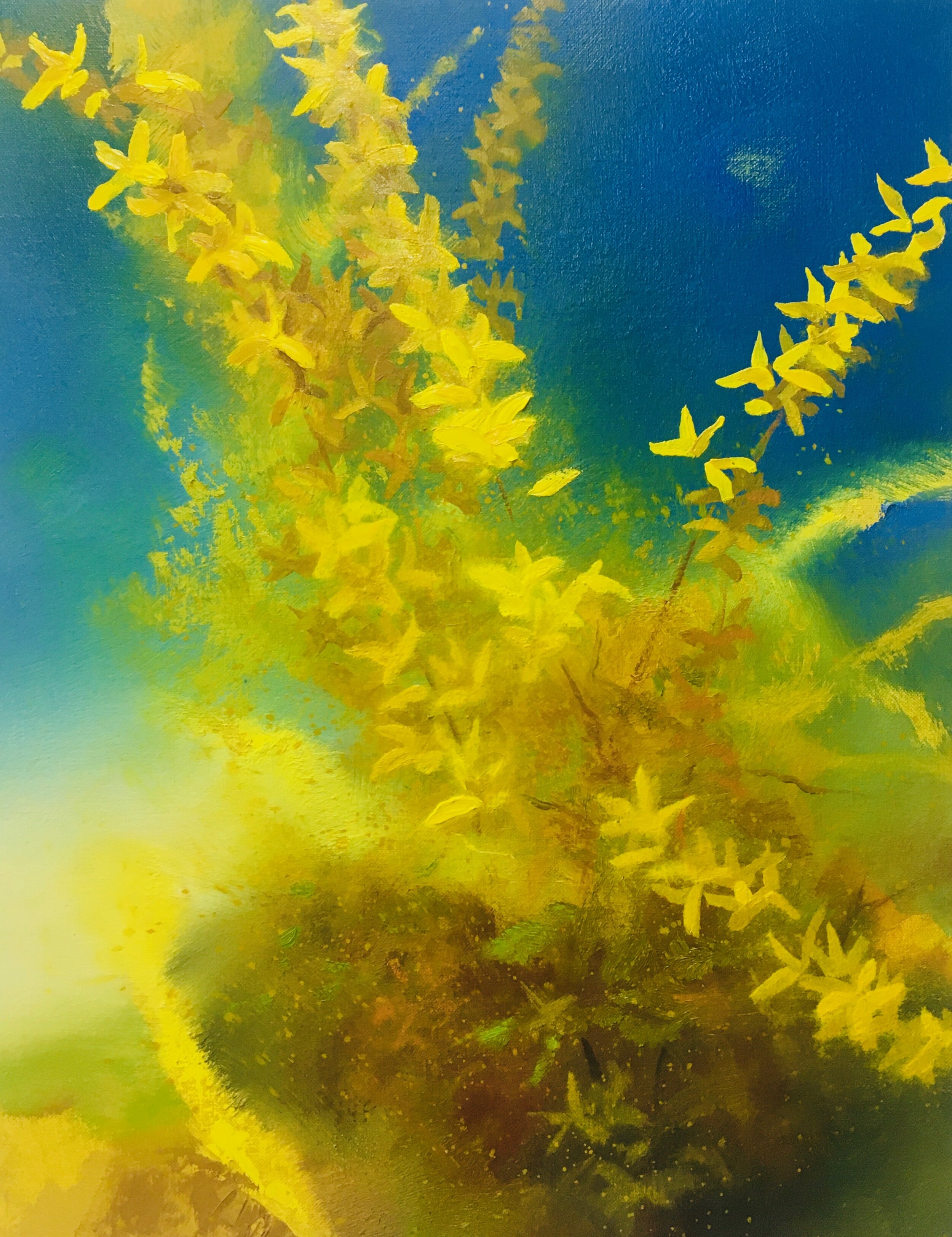 Forsythia (#2019)