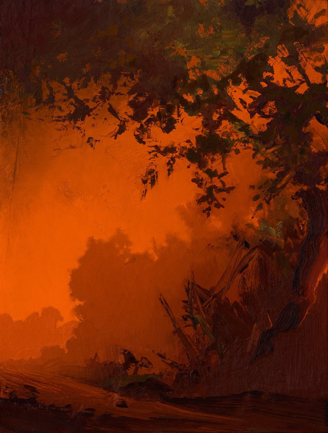 Landscape Orange (#2101)