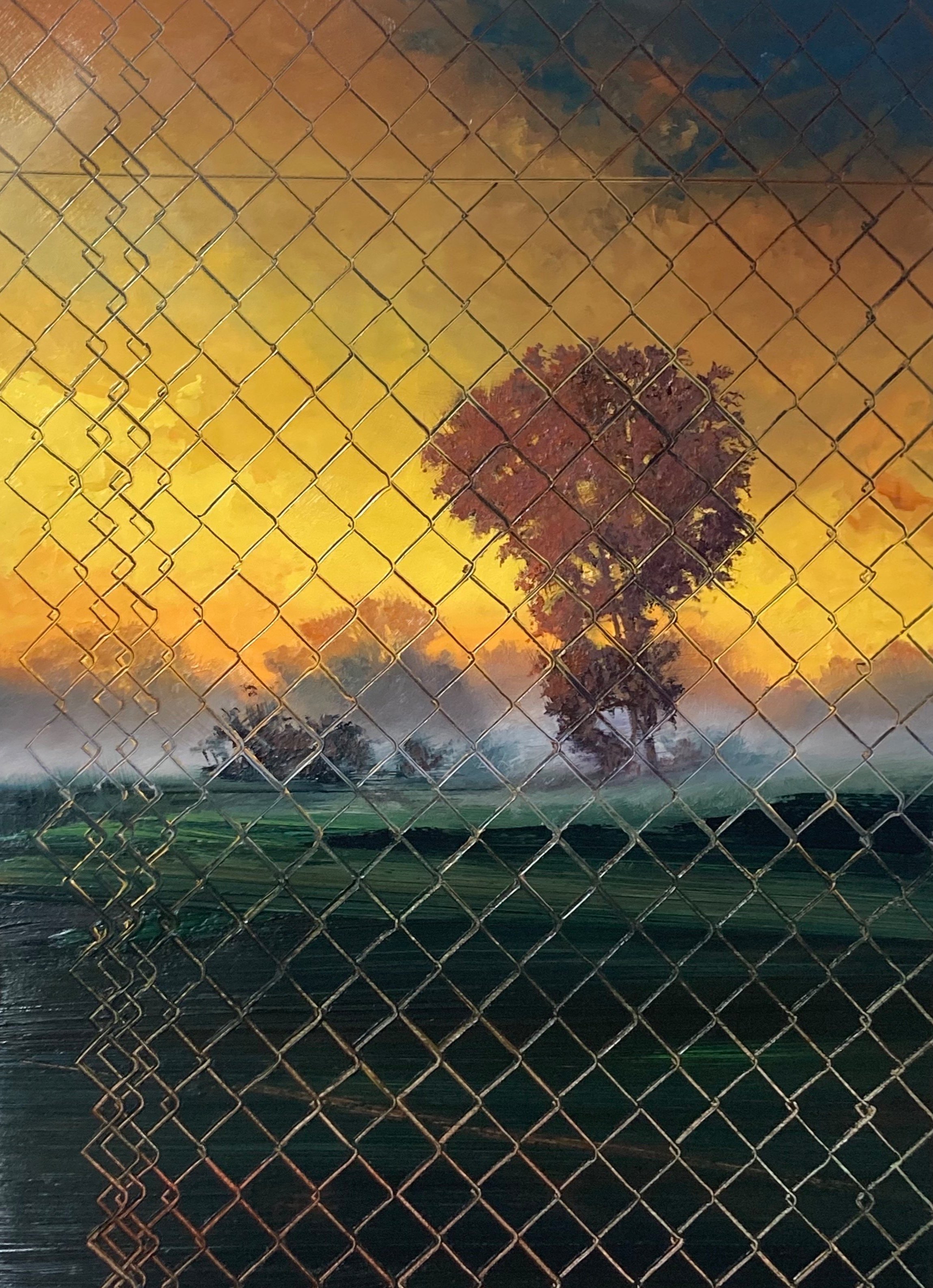 Fence/Fog (#2137)