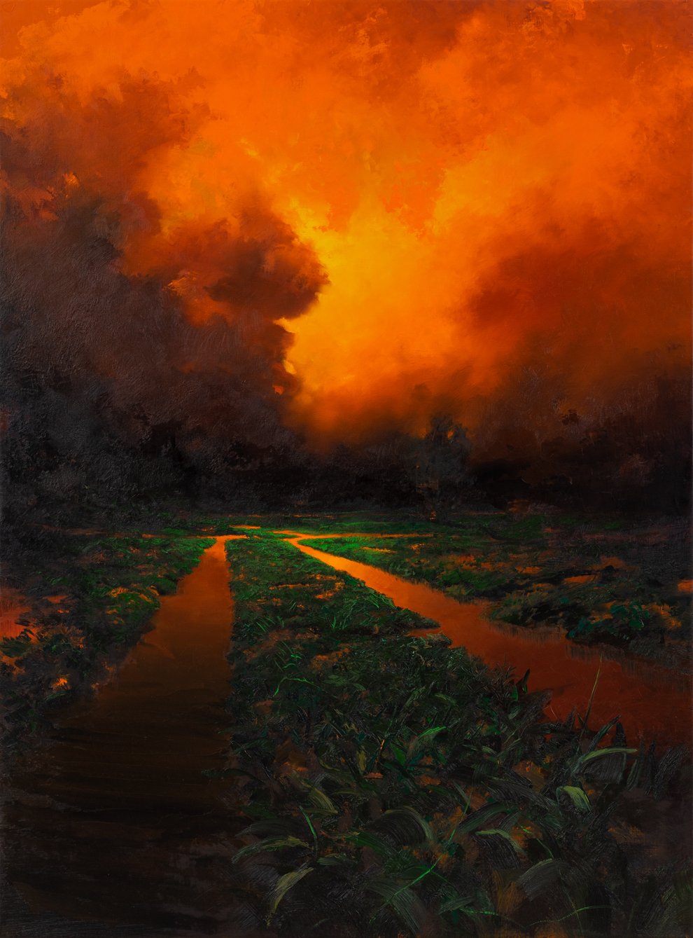 Marsh/Orange Sky (#2154)