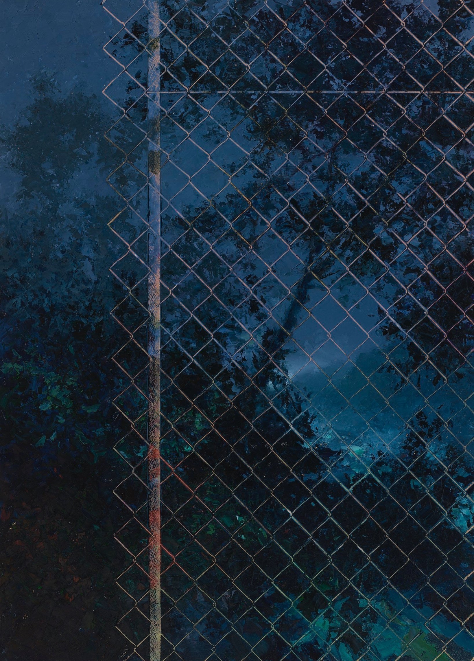 Fence/Night (#2215)