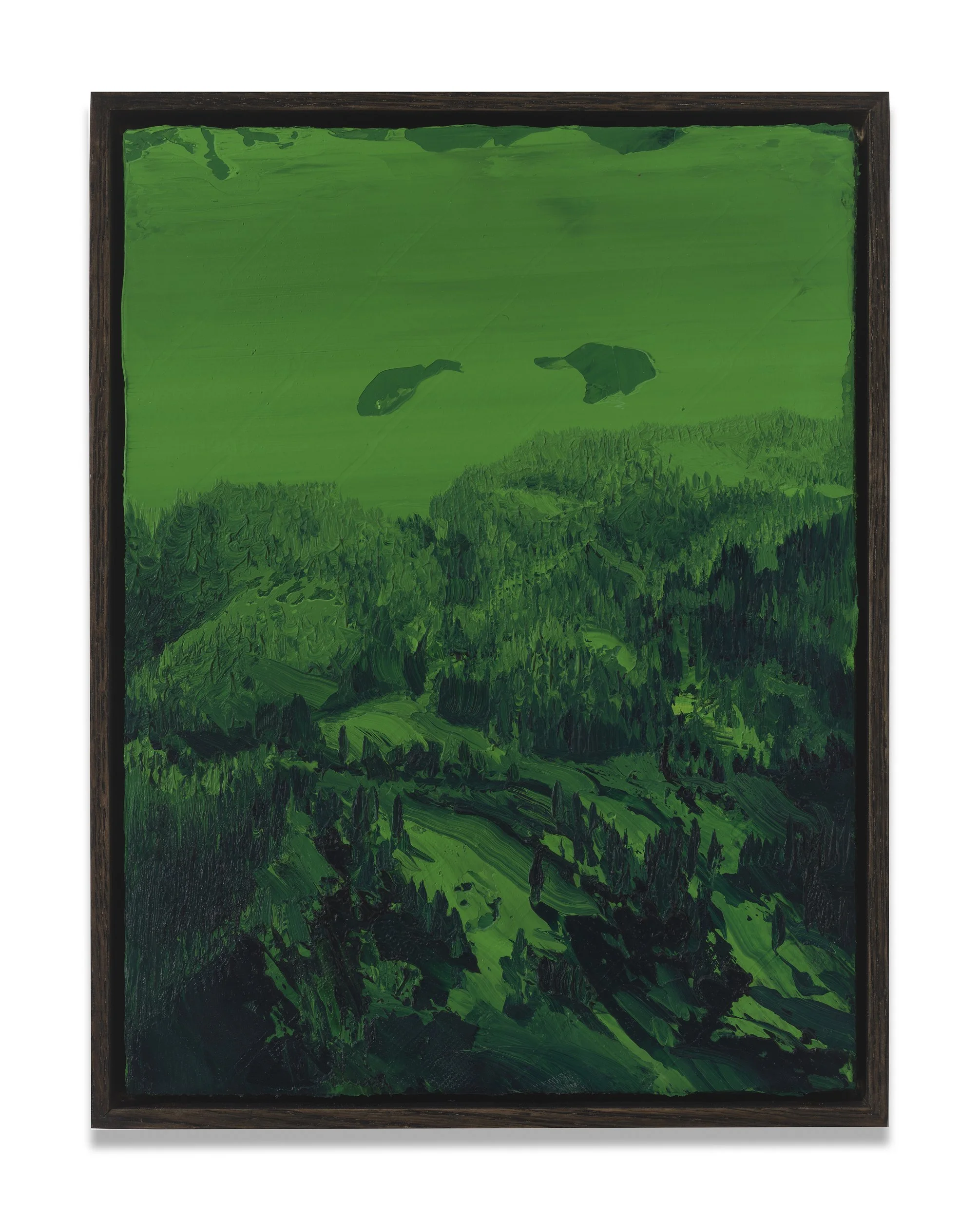 Night Vision (#2424), 2024, Oil on paper or linen, mounted on panel, 12 parts, each 12×9”, framed
