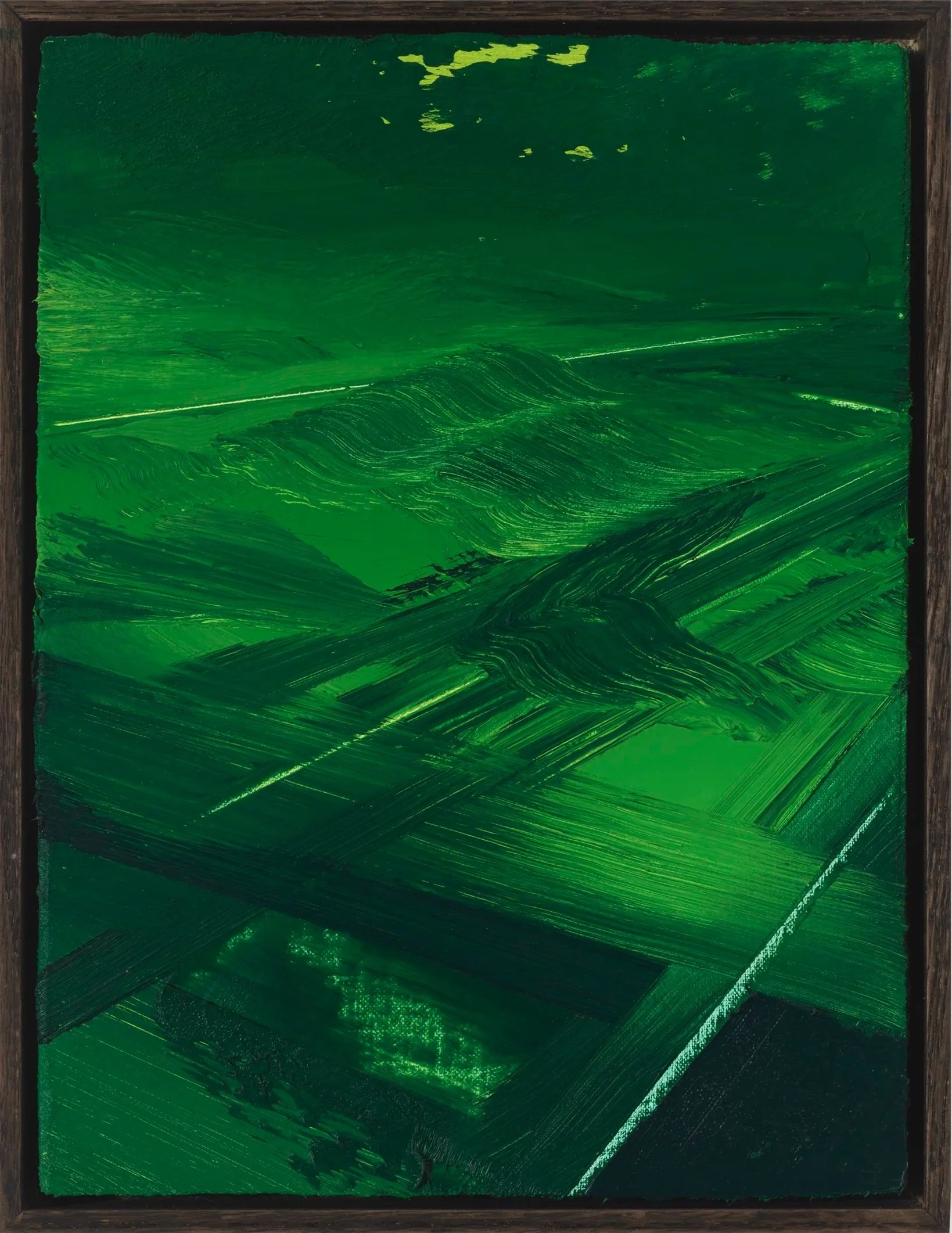 Night Vision (#2424-8)