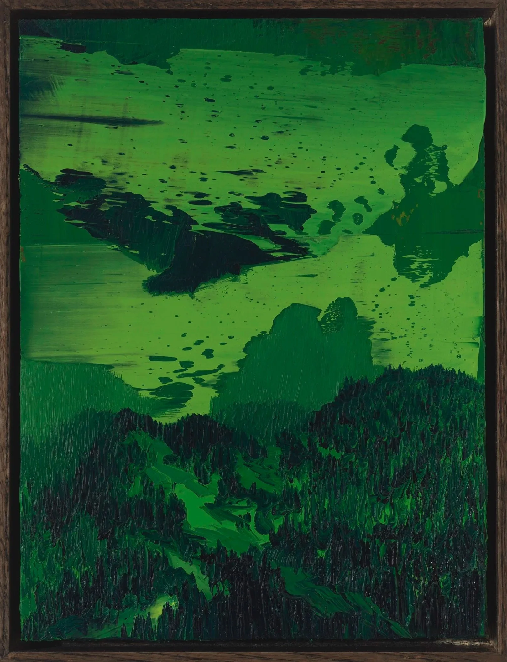 Night Vision (#2424-11)
