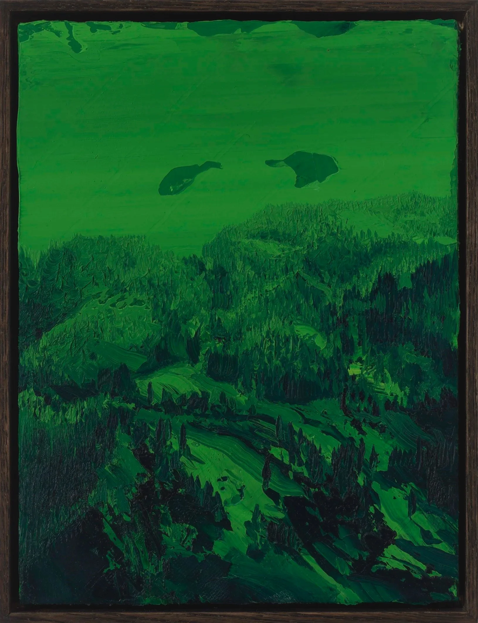 Night Vision (#2424-1)