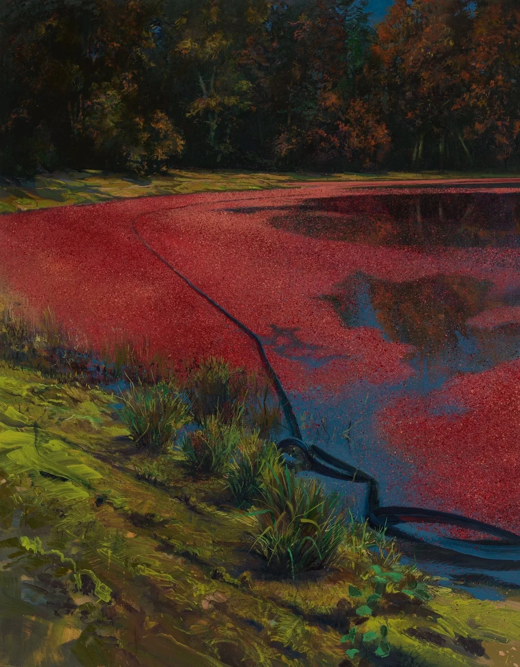 Bog (#2606)
