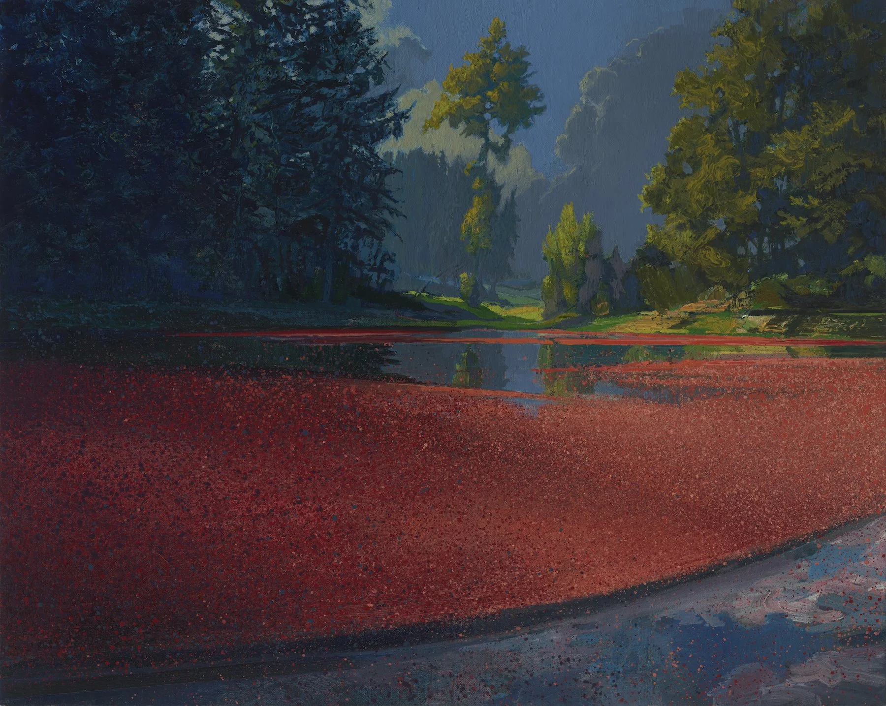 Bog (#2615)