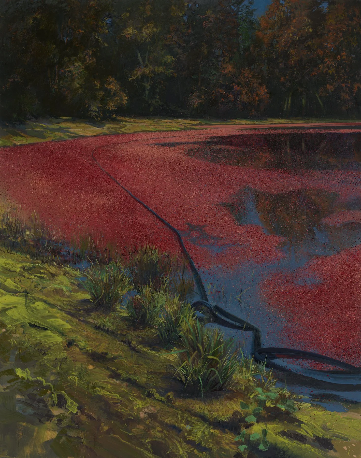 Bog (#2606)