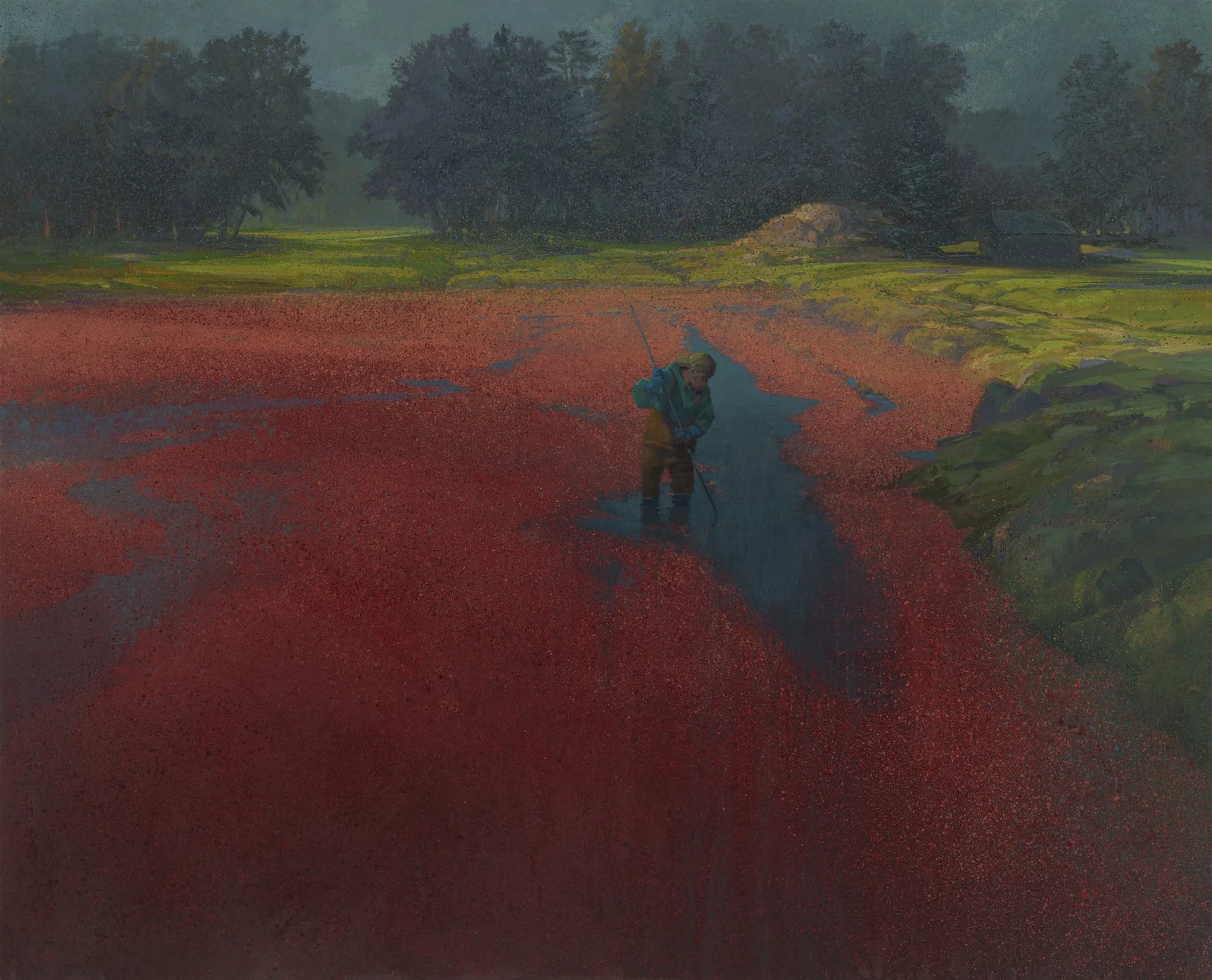  2026, Oil on linen, 48×60” 