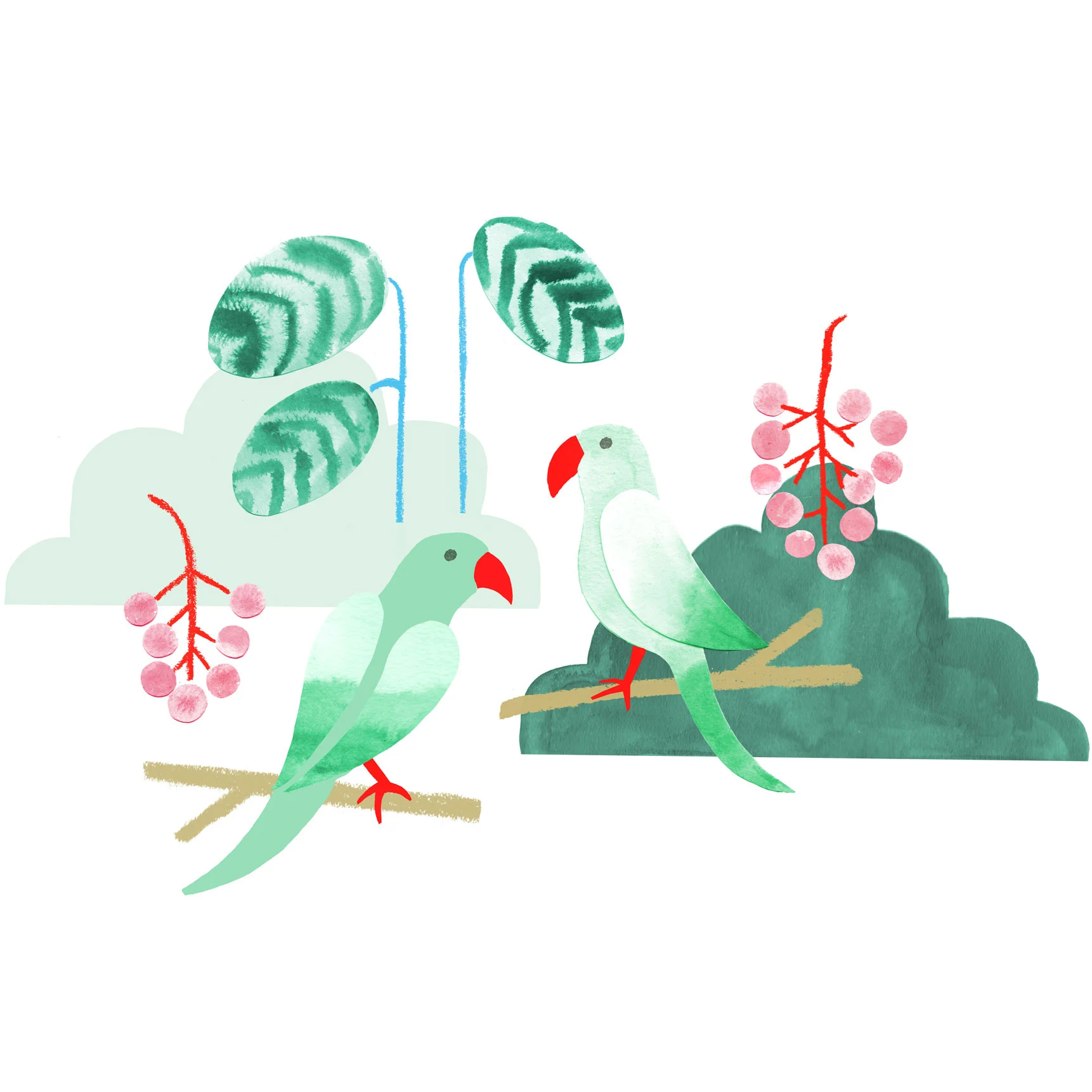 amyvanluijk_parrots1_tn.jpg