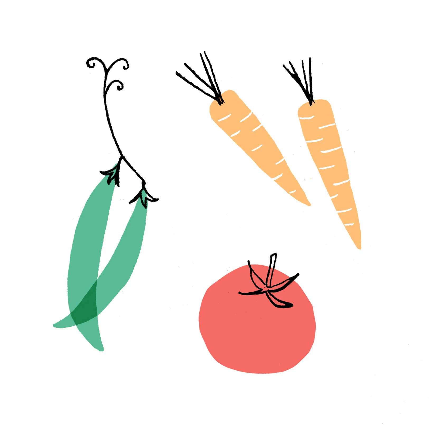 amyvanluijk_editorial_vege_illustration2.jpg